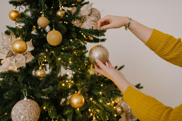 Embrace the Joy of Christmas Tree Clearance